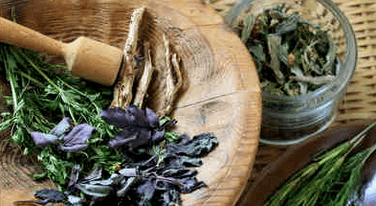 Liečba psoriázy ľudovými prostriedkami